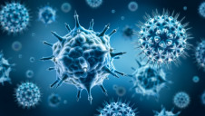The new research resulted in significantly increased removal rates for waterborne viruses including norovirus and adenovirus